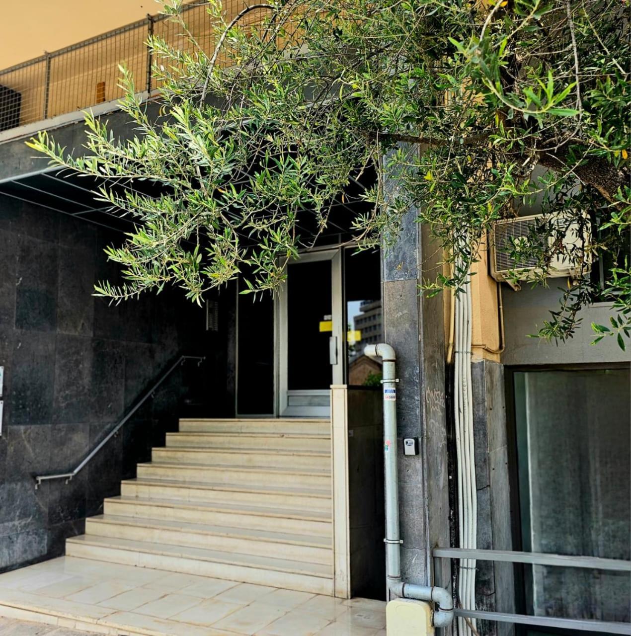 Diocharous Garden Apartment 雅典 外观 照片