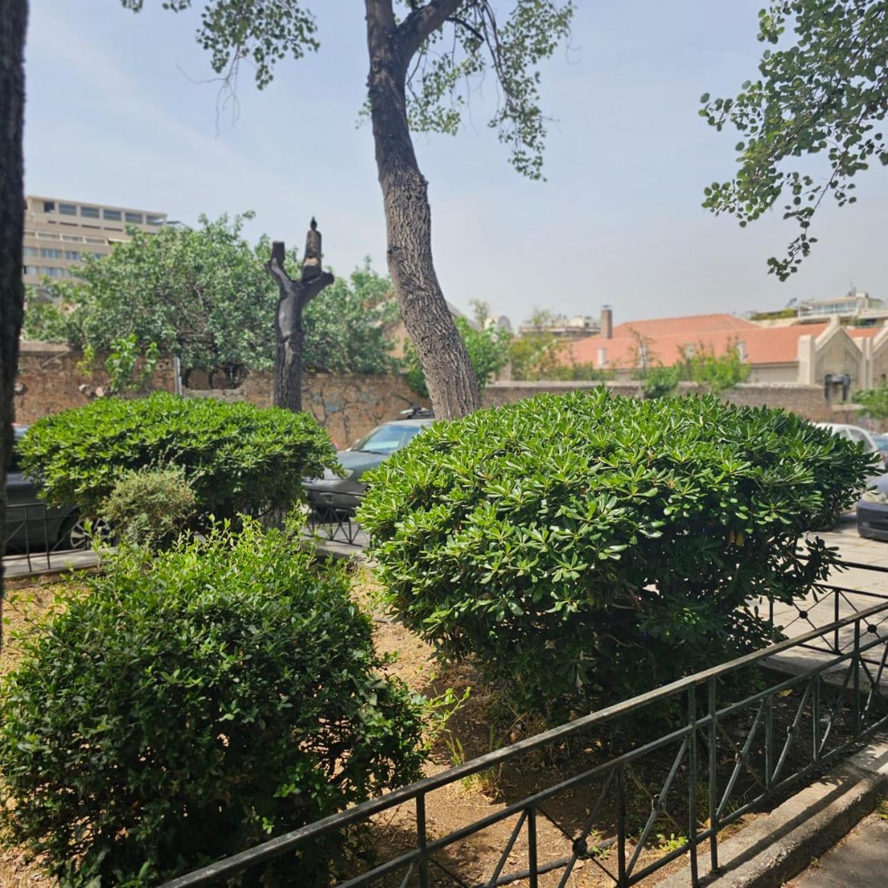 Diocharous Garden Apartment 雅典 外观 照片
