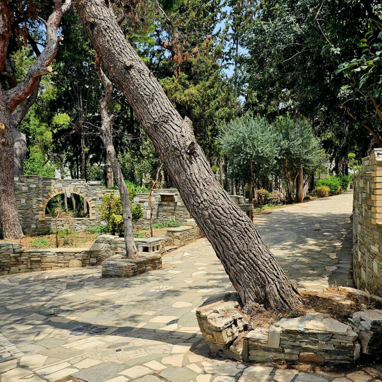 Diocharous Garden Apartment 雅典 外观 照片
